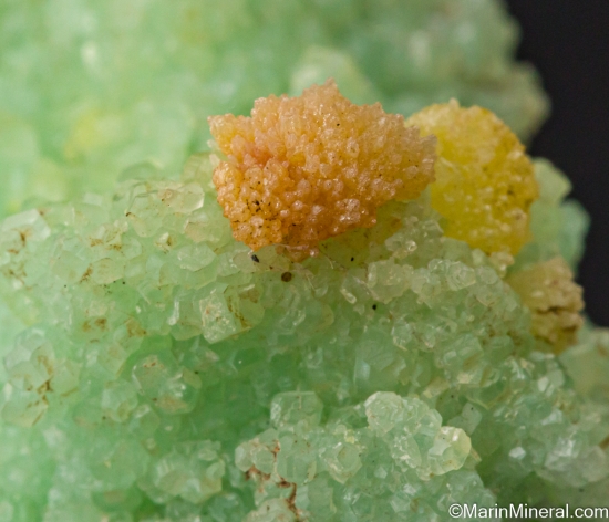 Mimetite on Cuprian Smithsonite from Tsumeb, Namibia [db_pics/pics/SV348e.jpg]