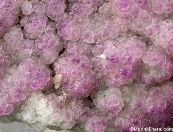 Fluorite from Red Cloud Mine, Trigo Mtns., La Paz Co., Arizona, USA [db_pics/pics/SV361c.jpg]