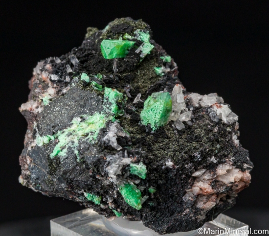 Zincolivenite (formerly Cuprian Adamite) from Tsumeb, Namibia [db_pics/pics/SV362a.jpg]