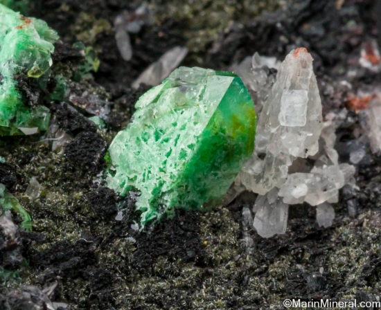 Zincolivenite (formerly Cuprian Adamite) from Tsumeb, Namibia [db_pics/pics/SV362c.jpg]