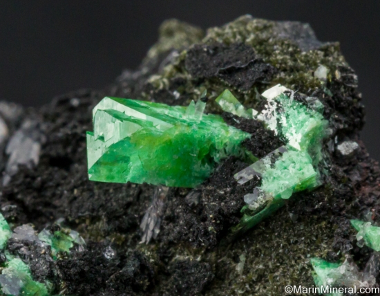 Zincolivenite (formerly Cuprian Adamite) from Tsumeb, Namibia [db_pics/pics/SV362d.jpg]