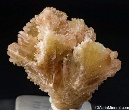 Cerussite from Daoping Mine, Yangshuo, Guangxi Prov., China [db_pics/pics/SV363a.jpg]