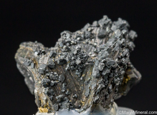 Polybasite from Guanajuato, Mexico [db_pics/pics/SV375c.jpg]