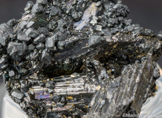 Polybasite from Guanajuato, Mexico [db_pics/pics/SV375e.jpg]