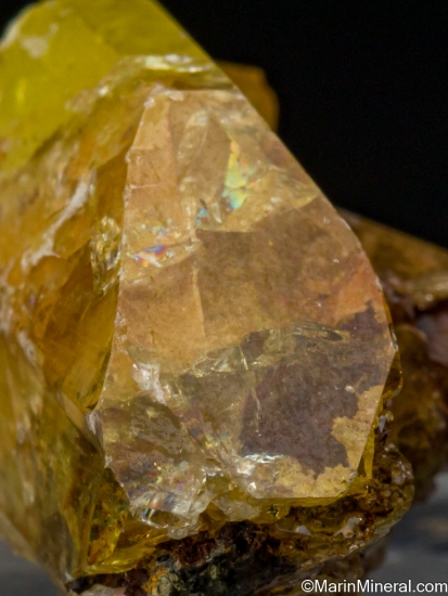 Anglesite from Touissit, Morocco [db_pics/pics/SV376e.jpg]