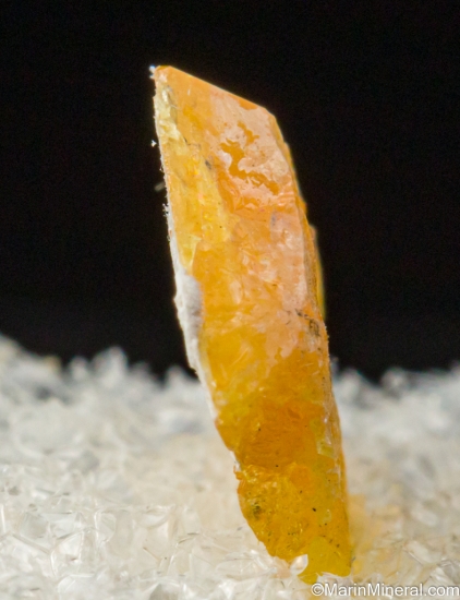 Fresnoite from Junnila Mine, San Benito Co., California, USA [db_pics/pics/SV379c.jpg]