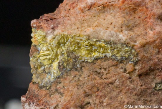 Terlinguaite from Mariposa Mine, Brewster Co., Texas, USA [db_pics/pics/SV380c.jpg]