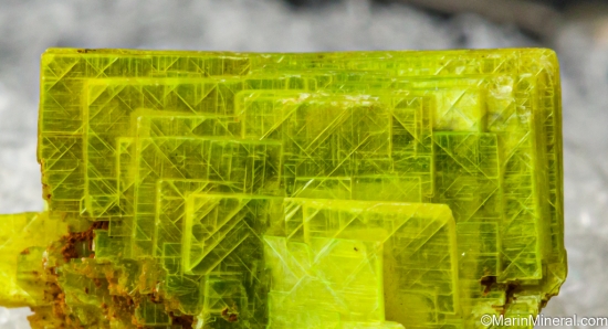 Uranocircite from Sao Pedro claim, Malacacheta, Minas Gerais, Brazil [db_pics/pics/SV385d.jpg]