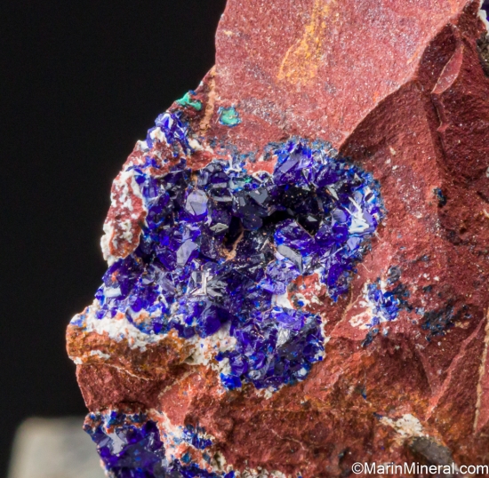 Azurite, Gibbsite from Morenci Mine, Greenlee Co., Arizona, USA [db_pics/pics/SV395e.jpg]