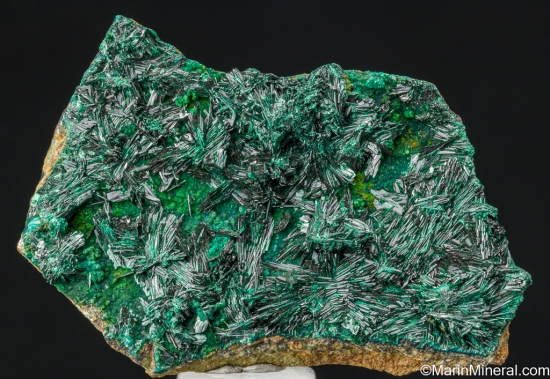 Atacamite from La Farola Mine, Copiapo, Atacama Region, Chile [db_pics/pics/SV408a.jpg]