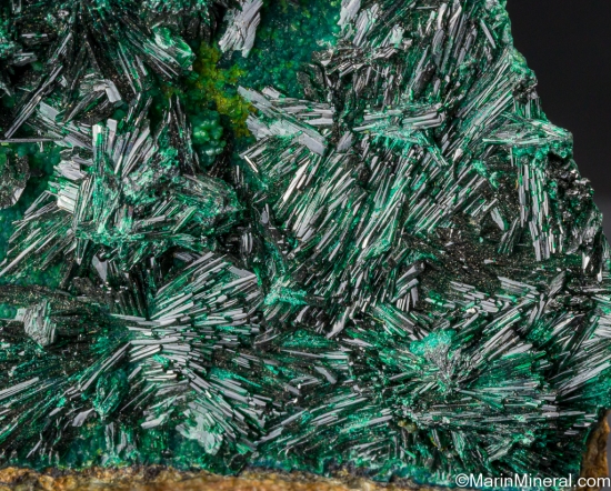 Atacamite from La Farola Mine, Copiapo, Atacama Region, Chile [db_pics/pics/SV408e.jpg]