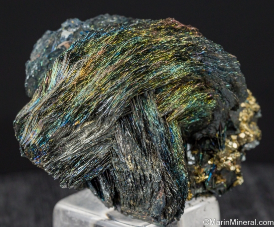 Hematite with Pyrite from Valle Glove Mine, Rio Marina, Elba Island, Italy [db_pics/pics/SV449b.jpg]