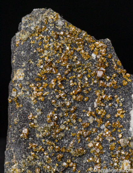 Sphalerite from Abbeytown Quarry, Co. Sligo, Ireland [db_pics/pics/SV455c.jpg]