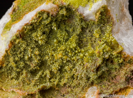 Pyromorphite from Shallow Adit, Luganure Mine, Glendasan, Co. Wicklow, Ireland [db_pics/pics/SV458c.jpg]