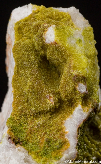 Pyromorphite from Shallow Adit, Luganure Mine, Glendasan, Co. Wicklow, Ireland [db_pics/pics/SV458d.jpg]