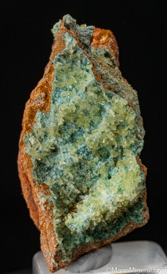 Senegalite on Turquoise from Mount Kouroudiako, Faleme River Basin, Senegal [db_pics/pics/SV467a.jpg]
