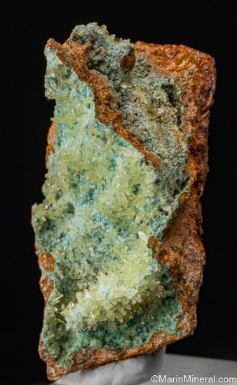 Senegalite on Turquoise from Mount Kouroudiako, Faleme River Basin, Senegal [db_pics/pics/SV467b.jpg]
