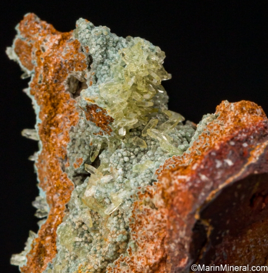 Senegalite on Turquoise from Mount Kouroudiako, Faleme River Basin, Senegal [db_pics/pics/SV467d.jpg]