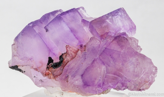 Fluorite from Taourirt, Oriental Region, Morocco [db_pics/pics/SV468b.jpg]