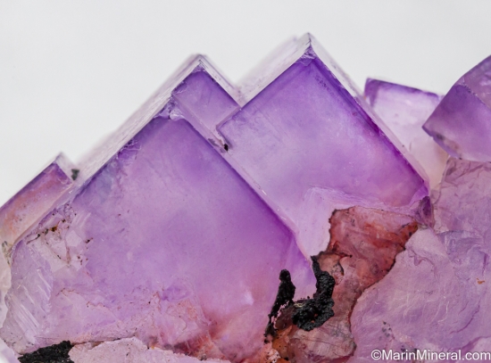 Fluorite from Taourirt, Oriental Region, Morocco [db_pics/pics/SV468d.jpg]