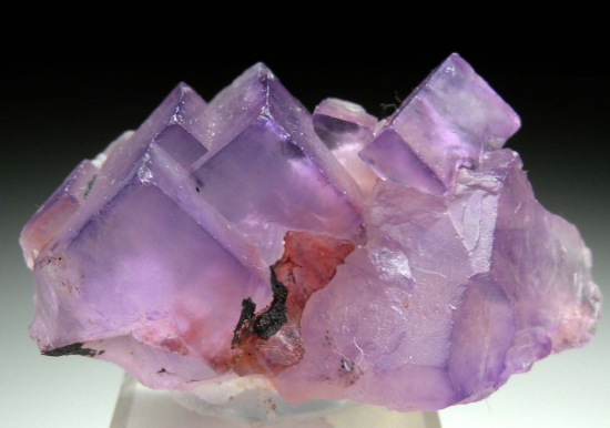 Fluorite from Taourirt, Oriental Region, Morocco [db_pics/pics/SV468e.jpg]