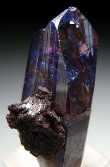 Tanzanite from Merelani Hills, Arusha, Tanzania [db_pics/pics/SV470d.jpg]