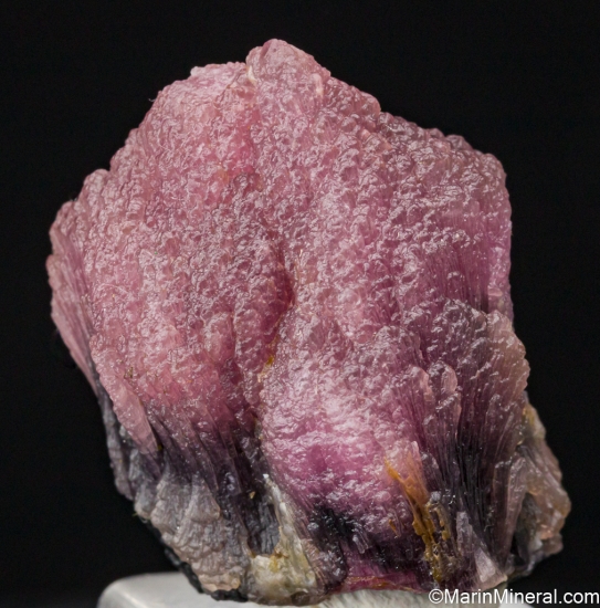 'Mushroom' Tourmaline from Paalelni Mine, Momeik, Shan State, Myanmar [db_pics/pics/SV471c.jpg]