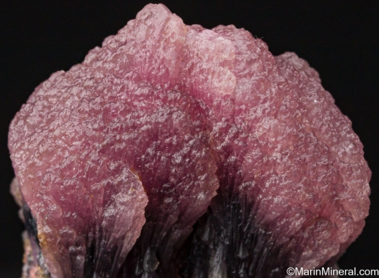 'Mushroom' Tourmaline from Paalelni Mine, Momeik, Shan State, Myanmar [db_pics/pics/SV471e.jpg]