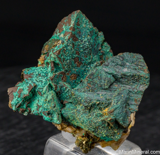 Malchite after Chalcopyrite from San Pedro Mine, Santa Fe Co., New Mexico, USA [db_pics/pics/SV472b.jpg]