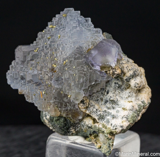 Fluorite from Panasquiera Mines, Covilha, Portugal [db_pics/pics/SV475b.jpg]