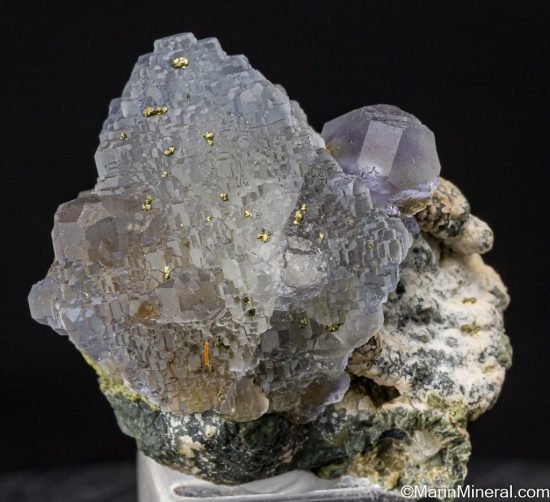 Fluorite from Panasquiera Mines, Covilha, Portugal [db_pics/pics/SV475e.jpg]