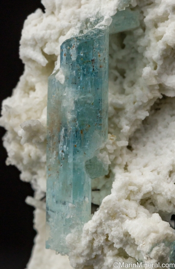 Aquamarine, Schorl on Orthoclase from Erongo Mtns., Namibia [db_pics/pics/SV491d.jpg]
