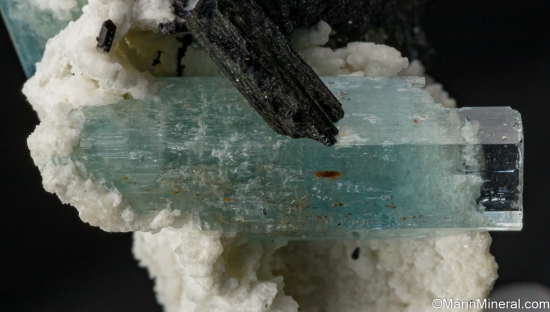 Aquamarine, Schorl on Orthoclase from Erongo Mtns., Namibia [db_pics/pics/SV491e.jpg]
