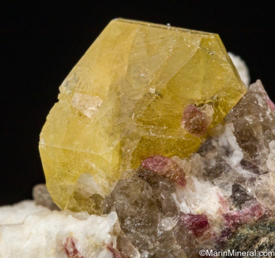 Londonite with Tourmaline from Antsongombato, Antsentsindrano, Betafo, Vakinankaratra, Madagascar [db_pics/pics/SV499d.jpg]