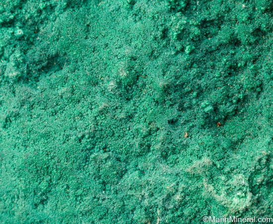 Botallackite from Dooneen Mine, Allihies, Beara Peninsula, Co. Cork, Ireland [db_pics/pics/SV502c.jpg]