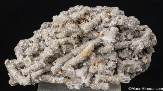 Quartz pseudo. after Coral from Mayo Quarry, Aughamore, Co. Sligo, Ireland [db_pics/pics/SV503a.jpg]