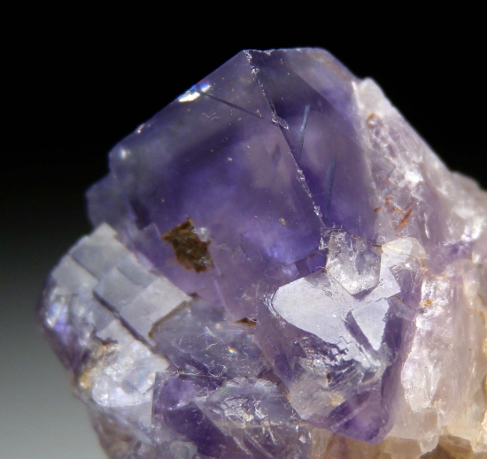 Fluorite from The Burren, Co. Clare, Ireland [db_pics/pics/SV508b.jpg]