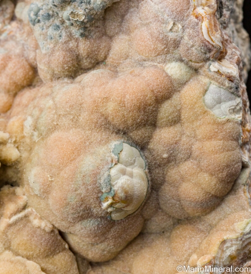 Wavellite from Fort Lismeenagh, Shanagolden, Co. Limerick, Ireland [db_pics/pics/SV517c.jpg]