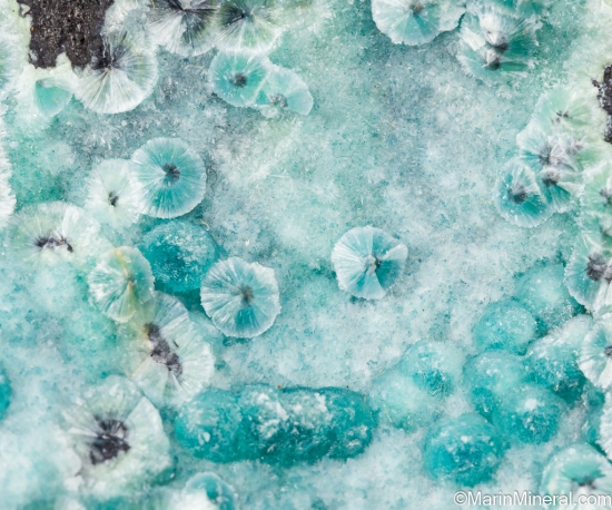 Wavellite from Grouse Lodge Quarry, Ardragh, Co. Limerick, Ireland [db_pics/pics/SV542d.jpg]