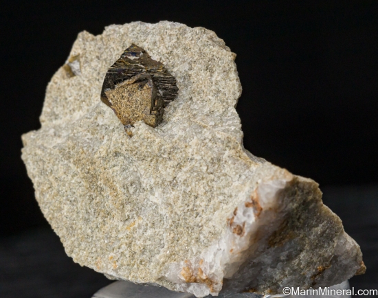 Arsenopyrite from Dhurode Mine, Durrus, Sheeps Head, Co. Kerry, Ireland [db_pics/pics/SV557b.jpg]