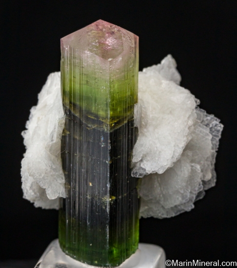 Tourmaline from Stak Nala, Skardu, Gilgit-Baltistan, Pakistan [db_pics/pics/SV581a.jpg]
