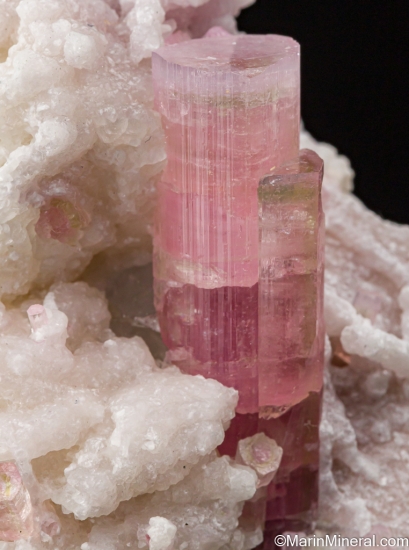 Tourmaline from Skardu, Gilgit-Baltistan, Pakistan [db_pics/pics/SV586d.jpg]