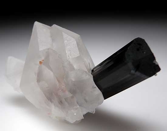 Tourmaline on Quartz from Skardu District, Pakistan [db_pics/pics/a167c.jpg]