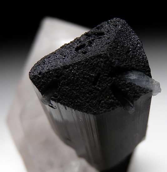 Tourmaline on Quartz from Skardu District, Pakistan [db_pics/pics/a167d.jpg]