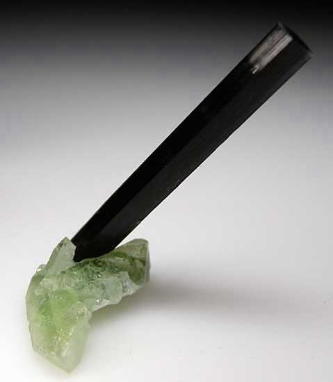 Elbaite on Herderite from Skardu District, Pakistan [db_pics/pics/a169a.jpg]