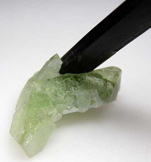 Elbaite on Herderite from Skardu District, Pakistan [db_pics/pics/a169d.jpg]