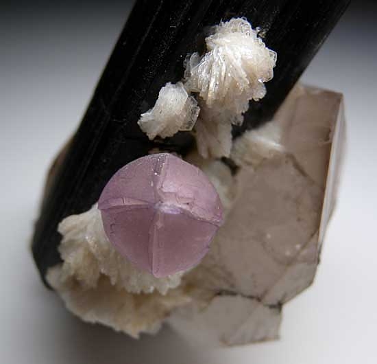 Fluorite, Schorl with Quartz from Shengus Mine,Skardu Dist., Pakistan [db_pics/pics/a176b.jpg]