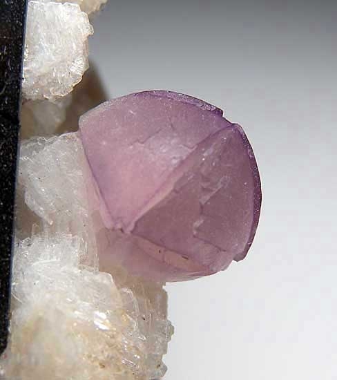 Fluorite, Schorl with Quartz from Shengus Mine,Skardu Dist., Pakistan [db_pics/pics/a176d.jpg]