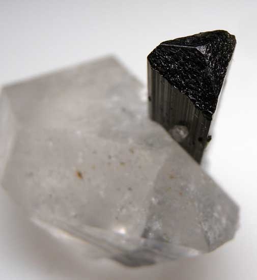 Tourmaline on Quartz from Stak Nala, Skardu District, Pakistan [db_pics/pics/a178b.jpg]