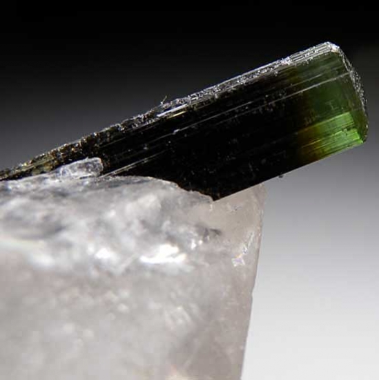 Tourmaline on Quartz from Stak Nala, Skardu District, Pakistan [db_pics/pics/a178c.jpg]